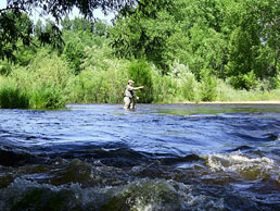 Fishing in the Cache la Poudre River. Photo courtesy of City of Fort Collins
