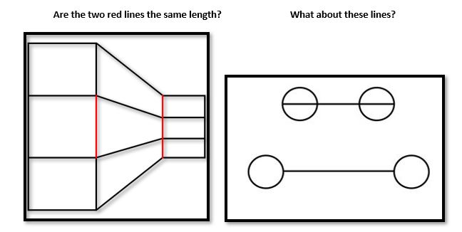 Daily Discovery: Optical Illusions & Color Vision - Fort Collins