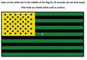 Optical Illusion: Only 2% of People Can Tell Which Green Line Is Longer In  5 Seconds