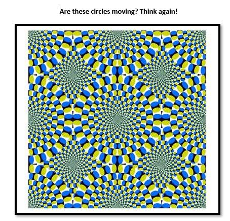 Can Optical Illusions Improve Vision? Know The Best One That