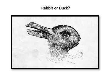 rabbit or duck - Fort Collins Museum of Discovery