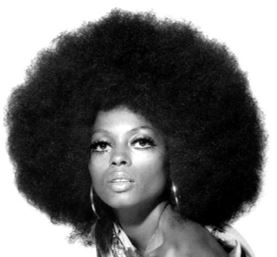 Diana Ross - Fort Collins Museum of Discovery