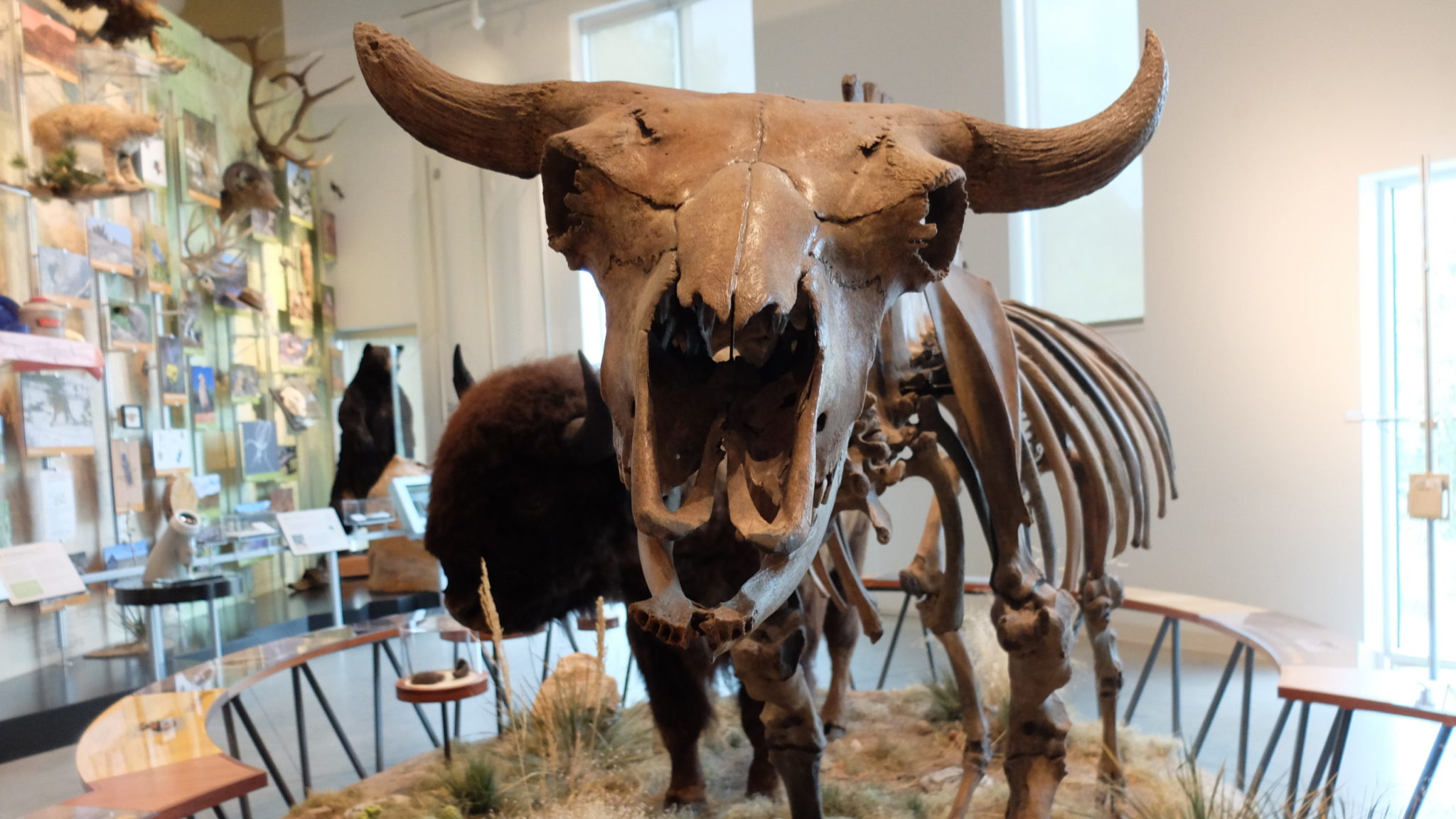 Plan Your Visit - Fort Collins Museum of Discovery